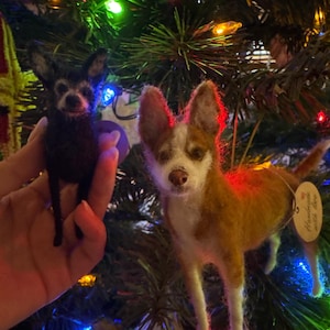 Victoria added a photo of their purchase