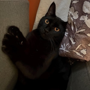 Laila a ajouté une photo de son achat
