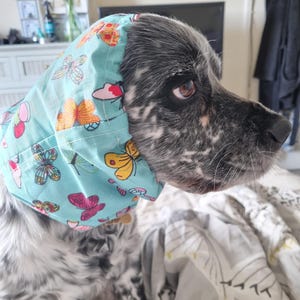 Sam added a photo of their purchase