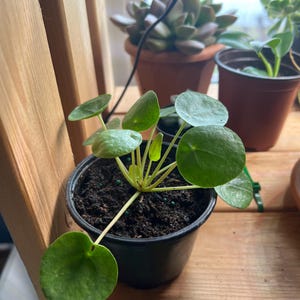 April added a photo of their purchase