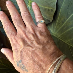 Damian added a photo of their purchase