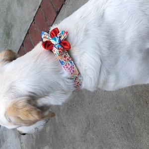 Anne added a photo of their purchase