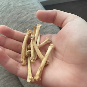 Katsuki added a photo of their purchase