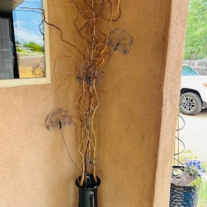 Karla added a photo of their purchase