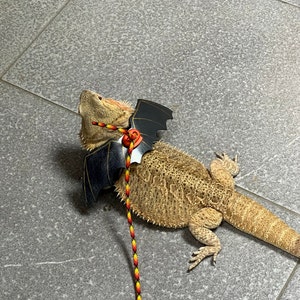 Bearded Dragon Hat Lizard Costume Reptile Hat Crochet - Etsy
