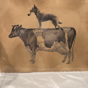 Jill added a photo of their purchase