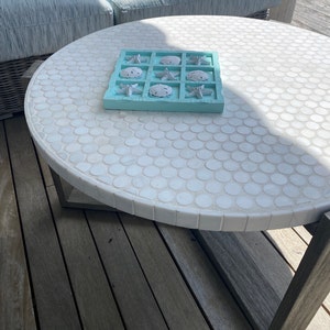 Conch Sea Shell Garden Quality 68 Conch Shell Imperfect Conch Sea Shell ...