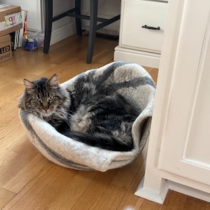 julie added a photo of their purchase