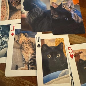 Ingrid added a photo of their purchase