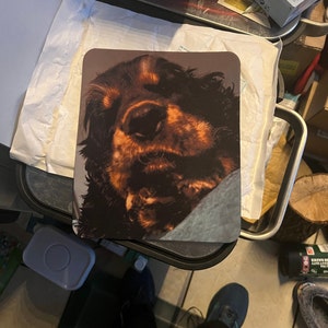 Ana adicionaram uma foto da sua compra