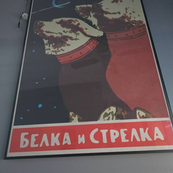 JWST VogelspinnenNebel. 30 Doradus. NGC 2070 James b/JWST Weltraum