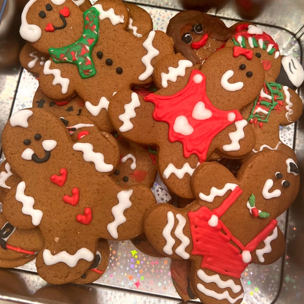 gingerbread-cookie-decorating-kit-christmas-diy-cookie-kit-large