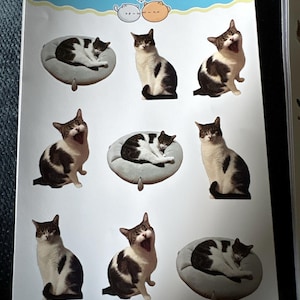 Kaitlyn added a photo of their purchase