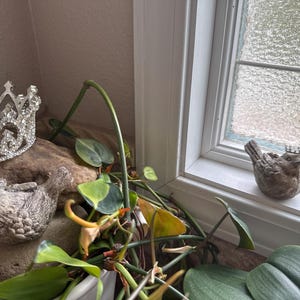 constance added a photo of their purchase