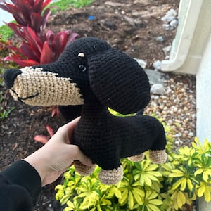Jadyn added a photo of their purchase