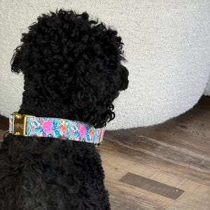 Judi added a photo of their purchase
