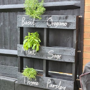 Nicky ha añadido una foto de su compra