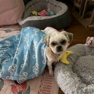 Michelle さんが購入した商品の写真を追加しました