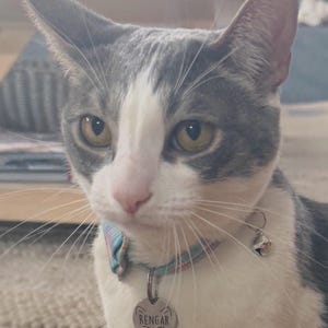 zaylie added a photo of their purchase