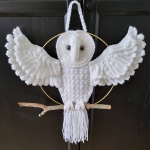 Barn Owl Wall Hanging Crochet Pattern PDF File - Etsy