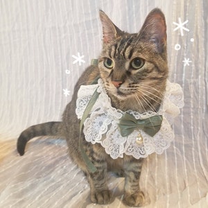 chinese collar with bow tie