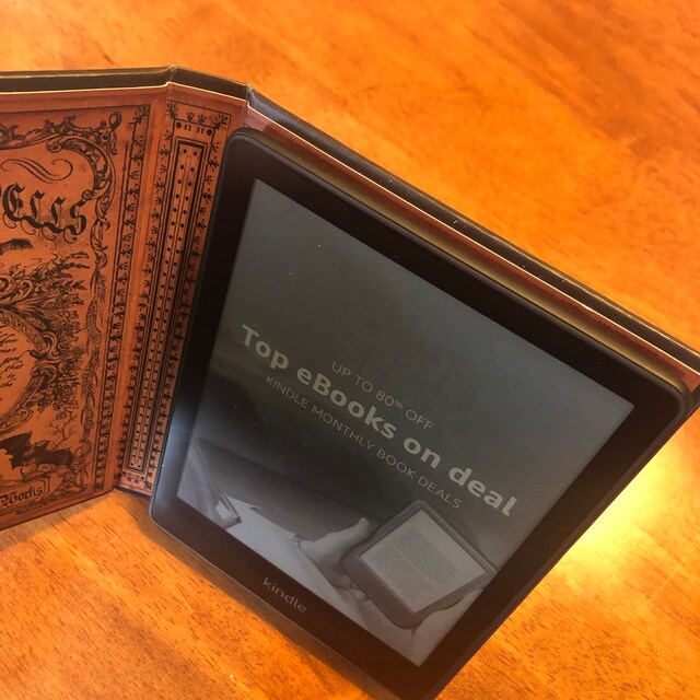 Cartes de tarot livresques avec pochette Kindle Paperwhite Cadeau  livresques Housse pour Kindle Manches rembourrées Réserver un cadeau Étui  pour liseuse -  France