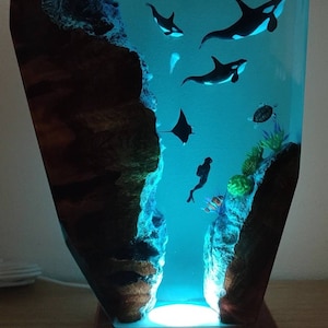 Florian added a photo of their purchase