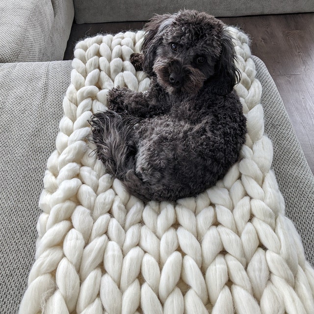 HXSM Chunky Knitted Blanket Giant Yarn Cable Knit Blanket Soft Knitted  Weighted Blanket Cozy Oversized Blanket Couch, Bed, Pet Mat, Baby Blanket,  Gift
