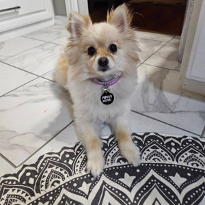 Brandy added a photo of their purchase