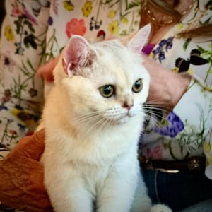 Kathryn ha añadido una foto de su compra