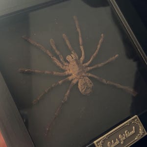 Tatjana heeft een foto van de aankoop toegevoegd