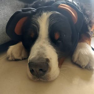 Sandra added a photo of their purchase
