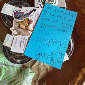 Chrissy hat ein Foto des gekauften Artikels hinzugefügt