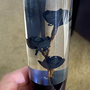 Justin added a photo of their purchase