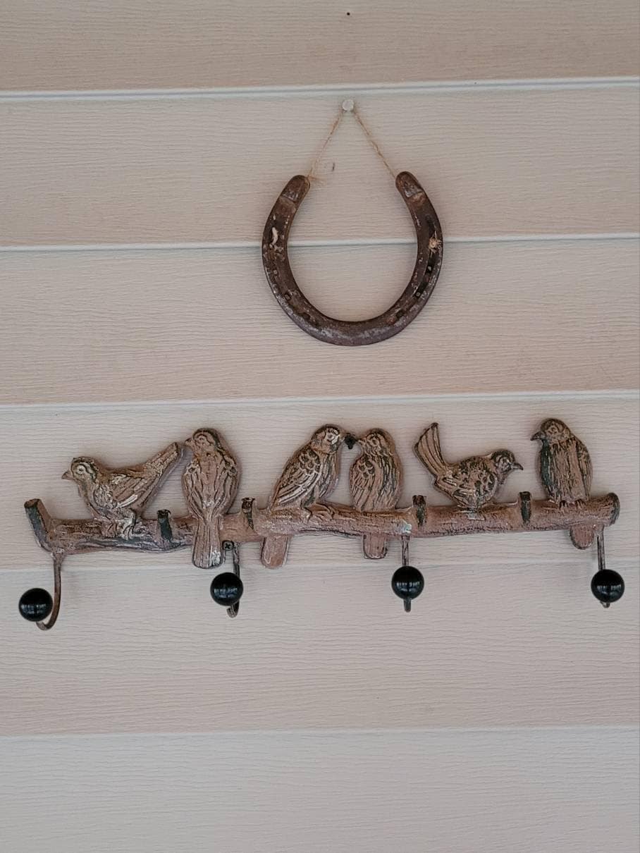 Authentic Used Horse Shoes-Flat Shoes-Assorted sizes-Rusted Shoes-Shiny Shoes-Cowboy Art-Farrier Horseshoes-Western Decor