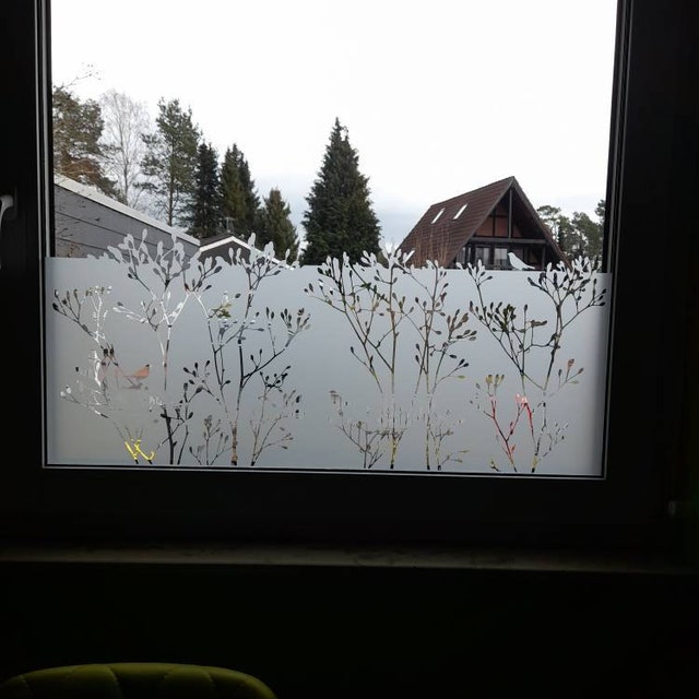 Fensterfolie Gras Ast Sichtschutzfolie Fenster Milchglasfolie Aufkleber  Selbstklebend Glasdekor Wohnzimmer Büro Bad W5611 - .de