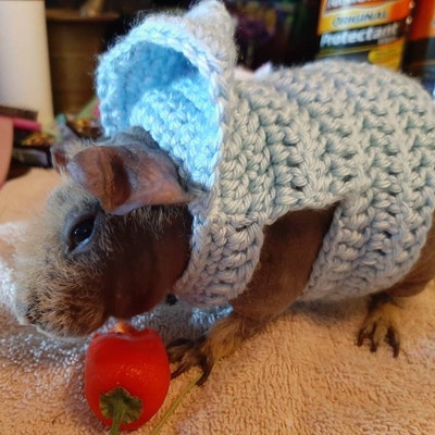 guinea-pig-hoodie-guinea-pig-clothes-guinea-pig-sweater-skinny-pig
