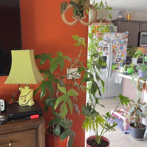 Judith added a photo of their purchase
