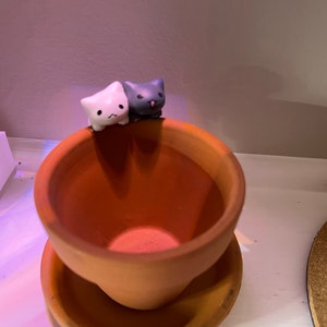 Julia added a photo of their purchase