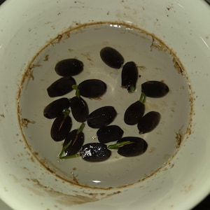 Cindy added a photo of their purchase