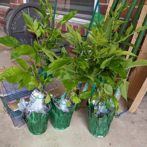 Catherine added a photo of their purchase