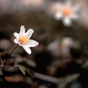 Etsy のお客さま さんが購入した商品の写真を追加しました