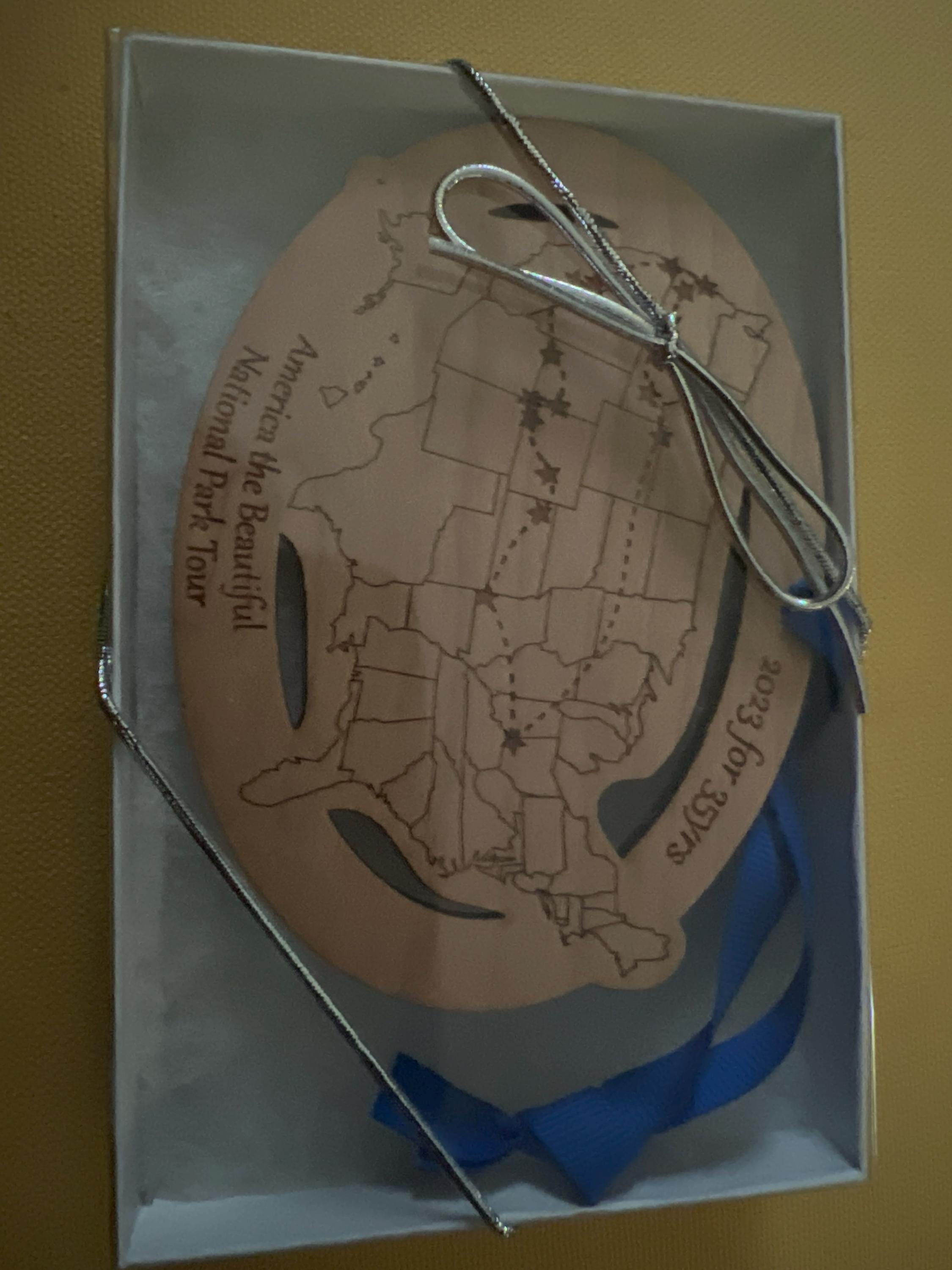 Custom Text and Cities US Map ornament, Road Trip Travel Ornament, long distance relationship, 50 state marathons