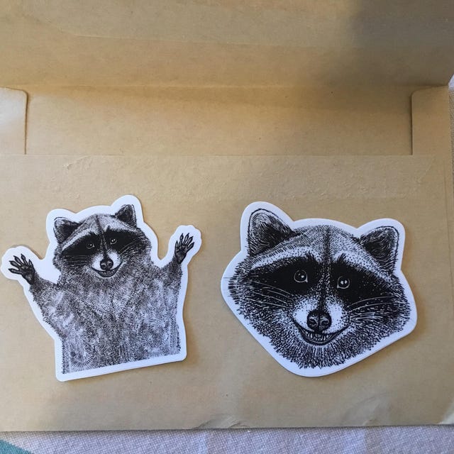 Raccoon Sticker Pack Coon Decal Trash Panda - Etsy