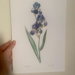 Serge ha añadido una foto de su compra