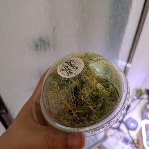 Etsy-köpare lade till en bild av sitt köp