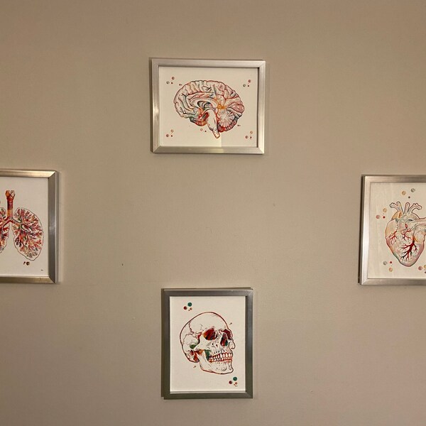 Brain Anatomy Cross Section Watercolor Print Human Brain Sagittal View ...