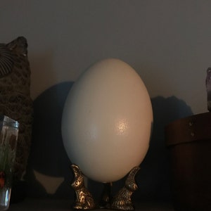 Brittney added a photo of their purchase