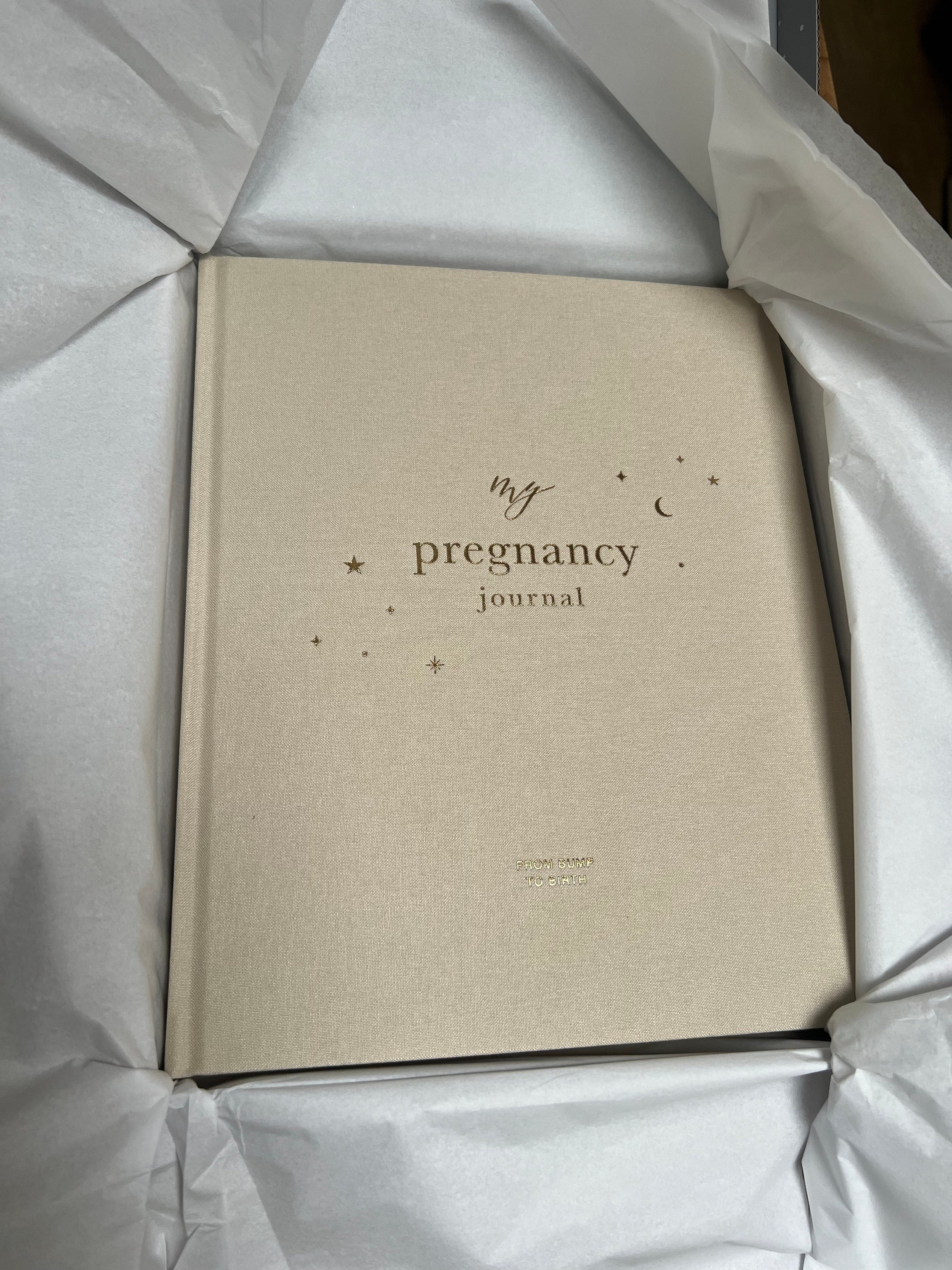 My Pregnancy Journal, Expectant Mother Gift, Pregnancy Planner - Pearl - gift for parents to be, pregnancy record book w/gilded edges