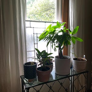 Christina added a photo of their purchase